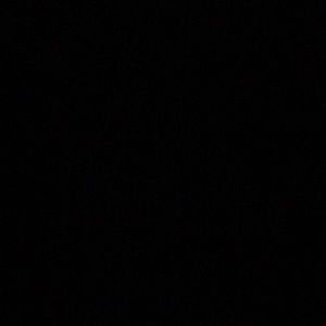 Meet your Posher, Nina